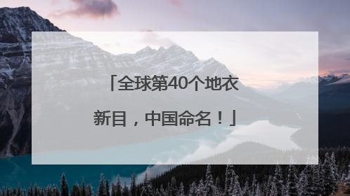 全球第40个地衣新目，中国命名！